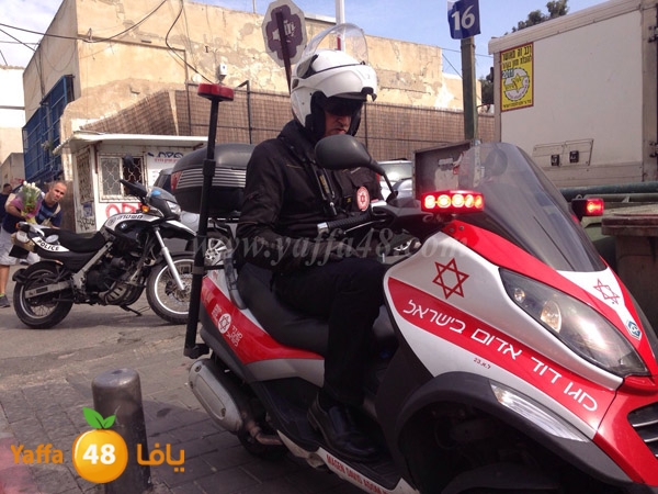 ta3n shejar 7sanbek (6).JPG